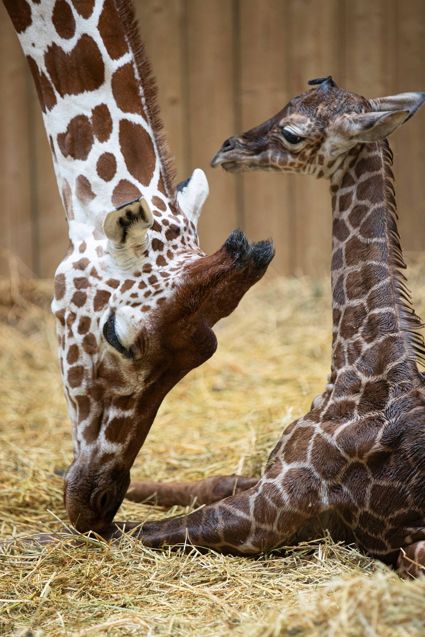 216969139_4564210036937240_7094123046797862992_n.jpg (394 KB)