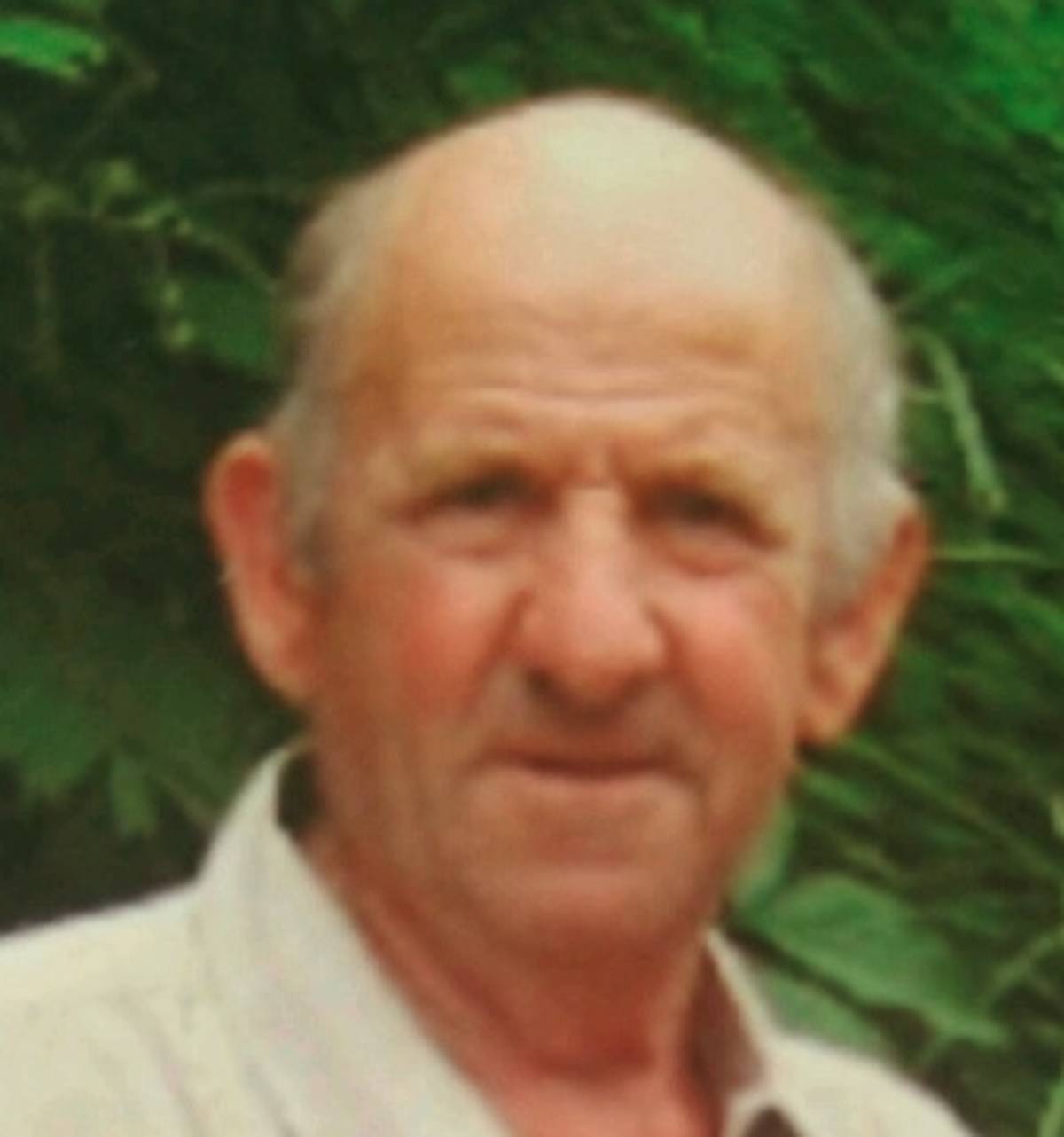 ibhfalflchngmomk_5564669.jpeg (65 KB)