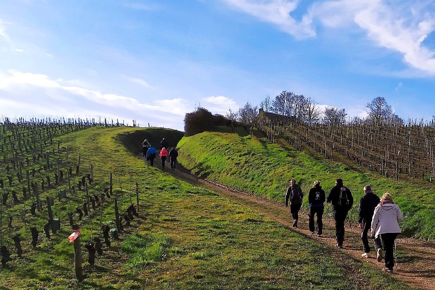 La prochaine randonnée Bourges-Sancerre annulée