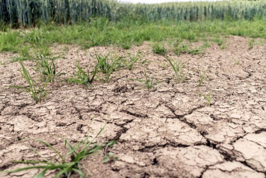 Sécheresse : l'ensemble du département du Cher est en restriction