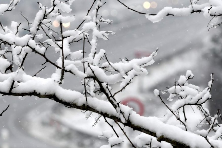 Neige : 2 300 foyers privés d'électricité dans le sud du Cher